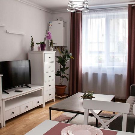 Ana Cristina Apartament Sighişoara Esterno foto
