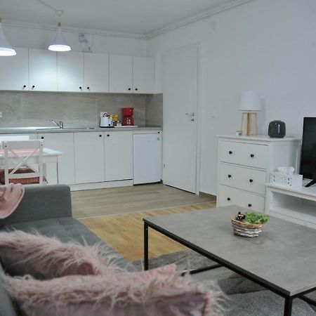Ana Cristina Apartament Sighişoara Esterno foto