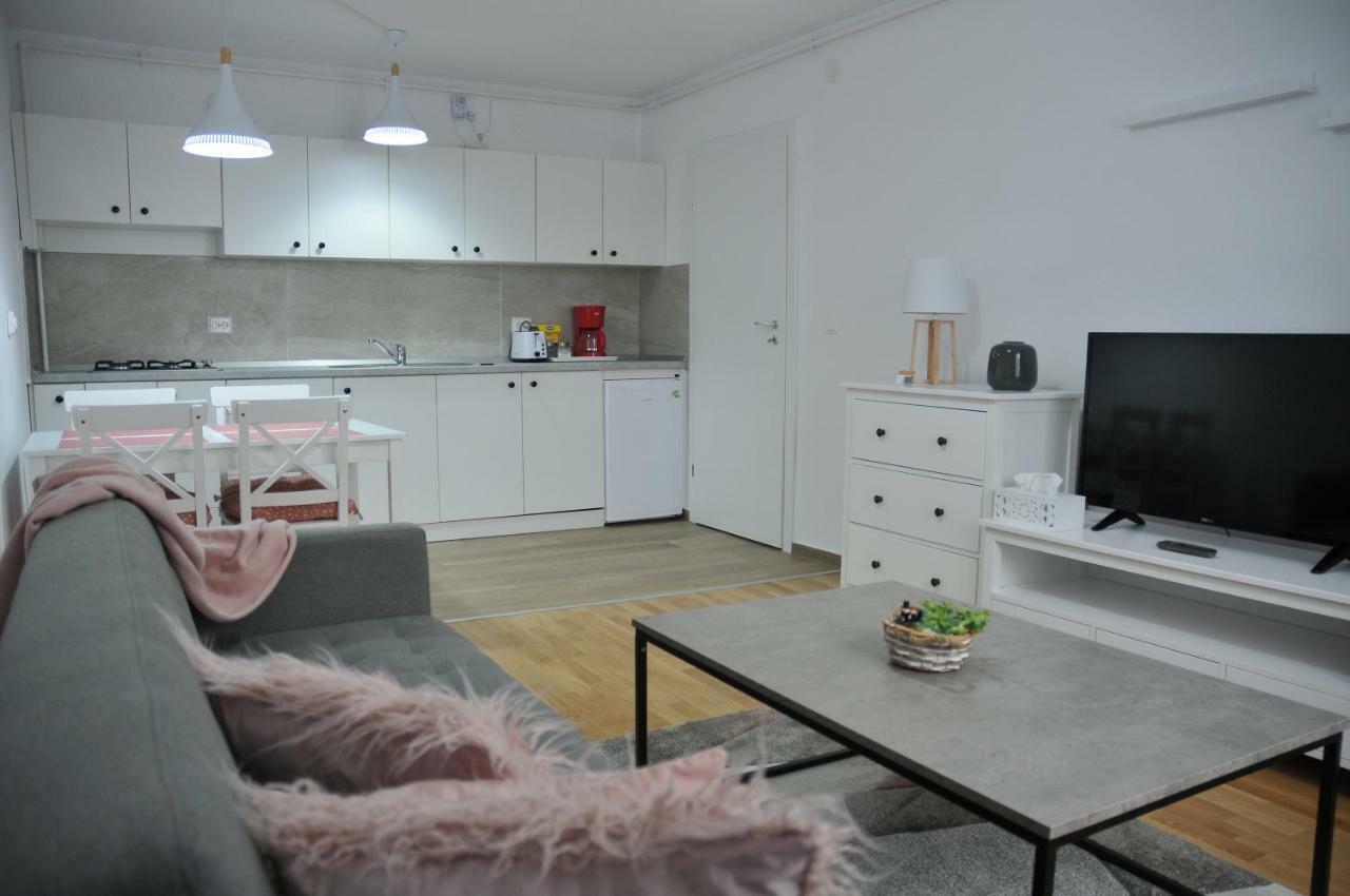 Ana Cristina Apartament Sighişoara Esterno foto