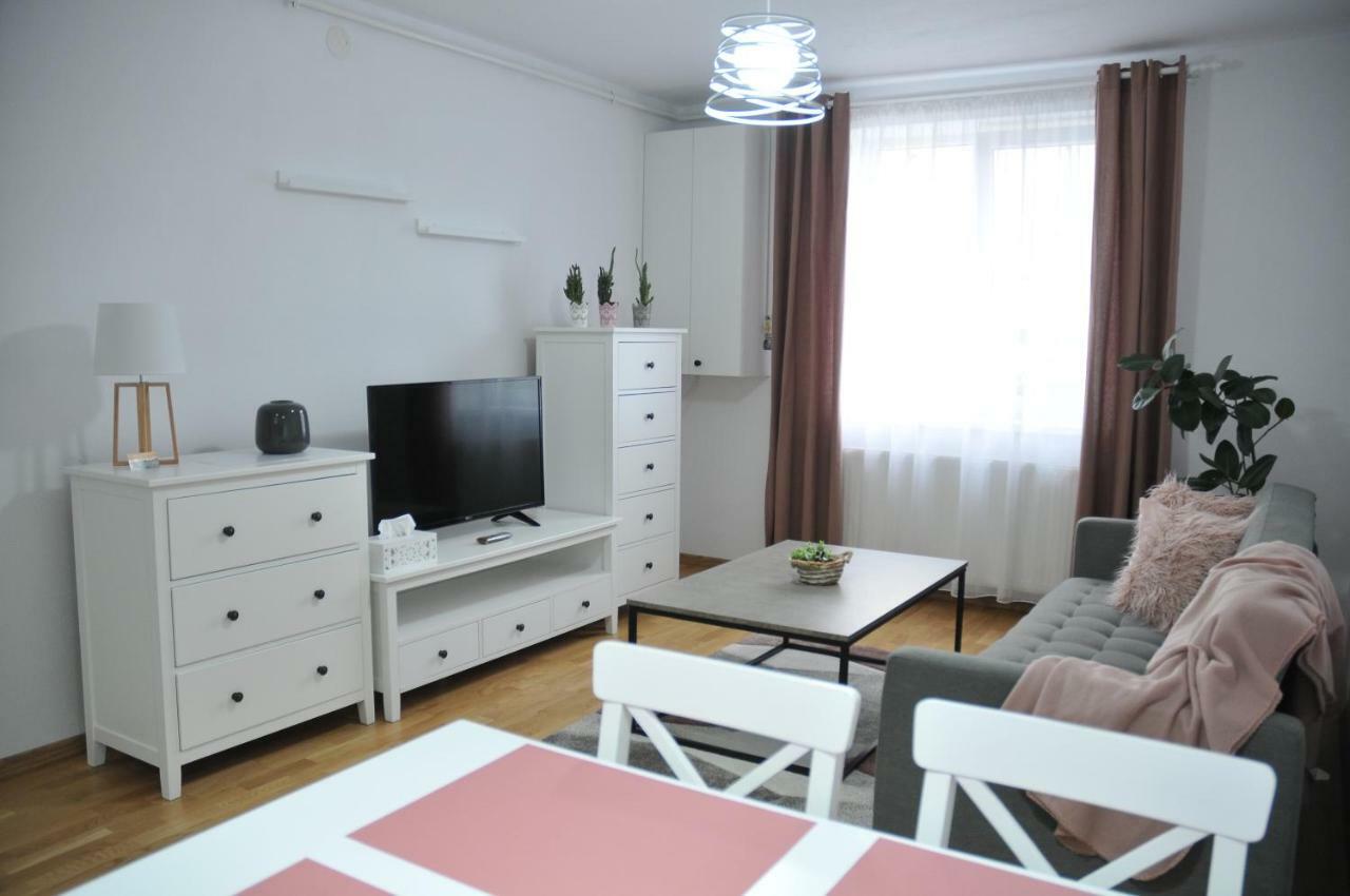 Ana Cristina Apartament Sighişoara Esterno foto